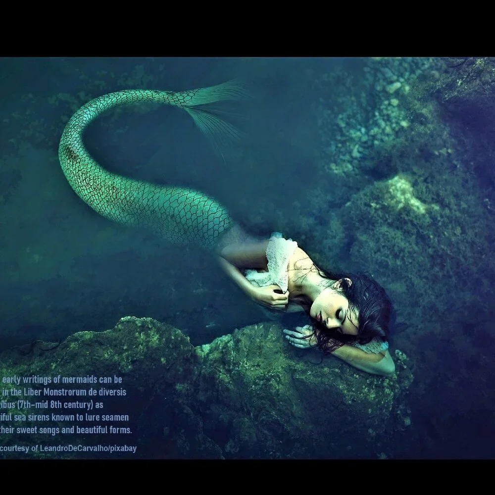 Mermaid Calendar 2027 Mermaid Pictures Mermaid Decor Mermaid Art